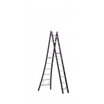 ALTREX LADDER NEVADA REFORM NZR2052 2X10 SPORTS WH 6.05 MTR IN A STAND 3.9 MTR ( a 1 st  )